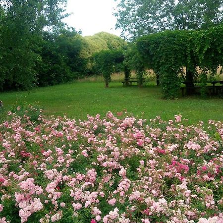 Agriturismo Il Magicorto Cassola Εξωτερικό φωτογραφία