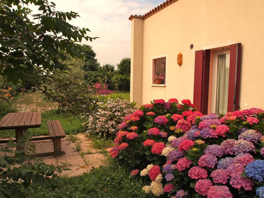 Agriturismo Il Magicorto Cassola Δωμάτιο φωτογραφία
