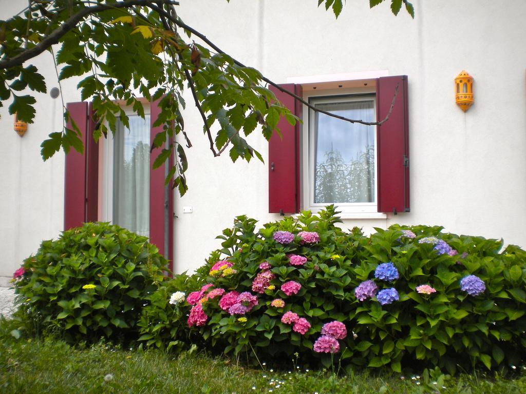 Agriturismo Il Magicorto Cassola Δωμάτιο φωτογραφία