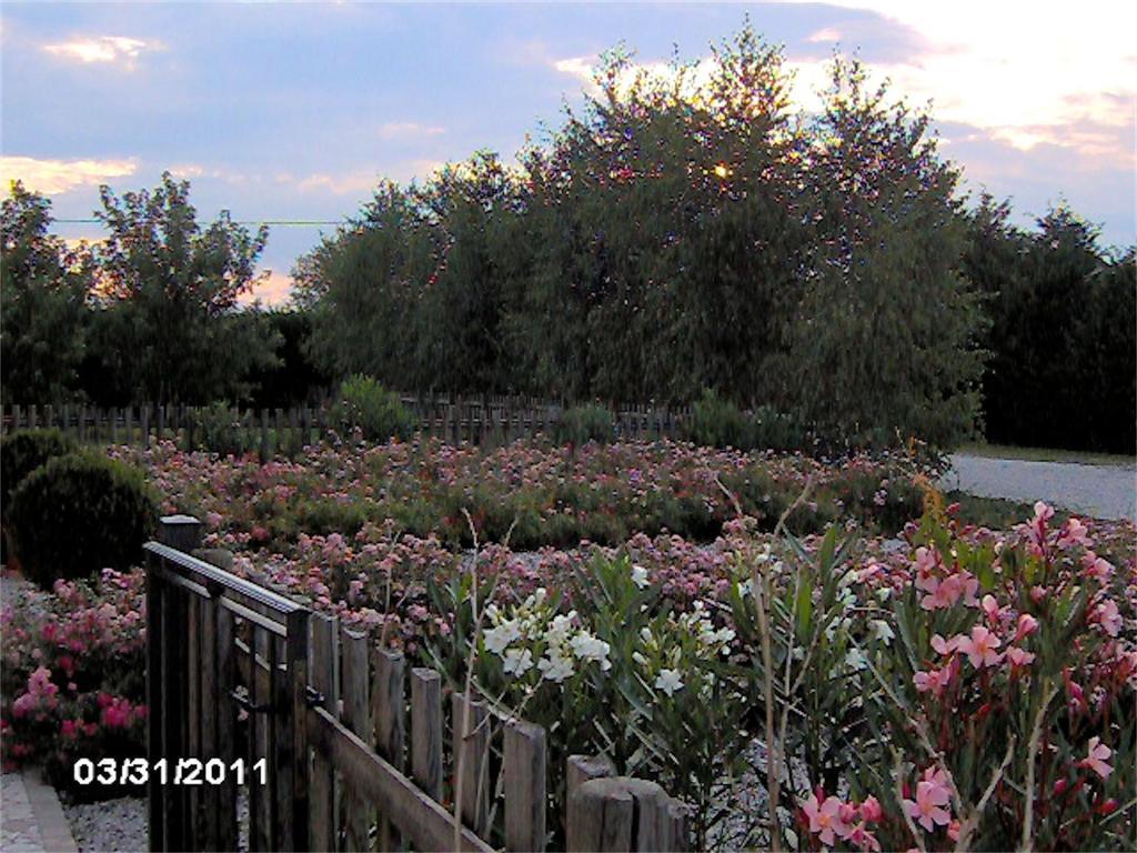Agriturismo Il Magicorto Cassola Εξωτερικό φωτογραφία