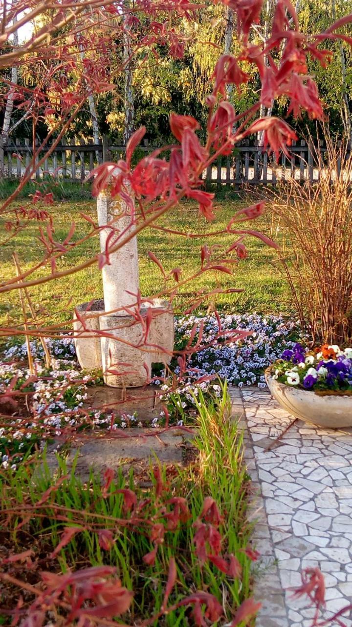Agriturismo Il Magicorto Cassola Εξωτερικό φωτογραφία